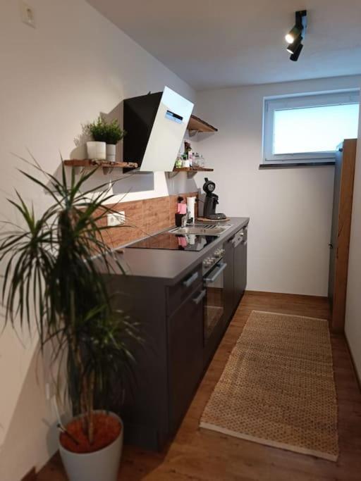 Altholzapartment In Kempten فالتنهوفن المظهر الخارجي الصورة